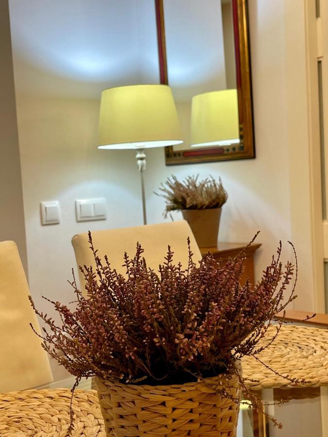 Atico Al Lado Del Ayuntamiento Apartment
